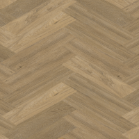 Chevron_weense punt_6544